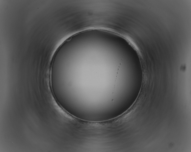 X0000091171100200708231459