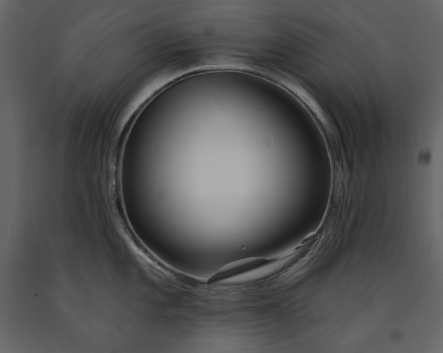 X0000091171101200708231459