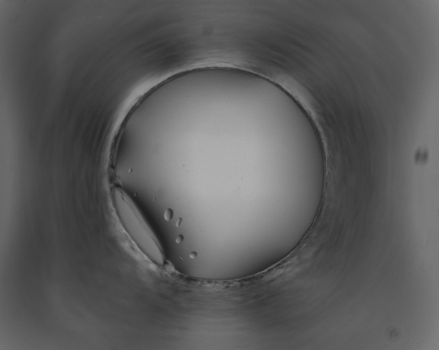 X0000091171104200708231459