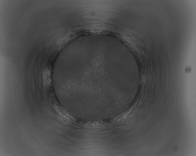 X0000091171106200708231459