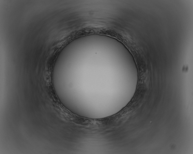 X0000091171109200708231459