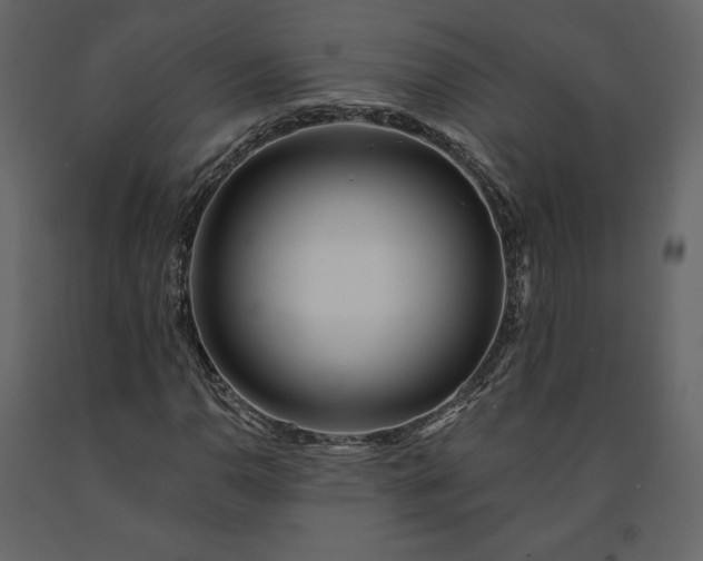 X0000091171110200708231459