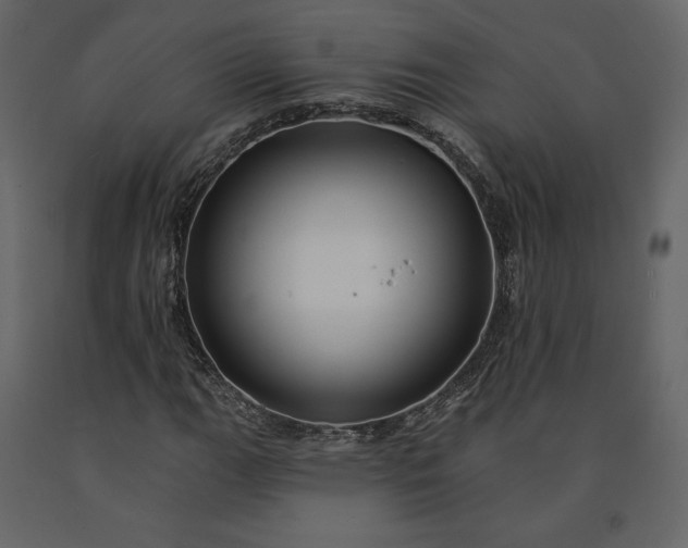 X0000091171111200708231459