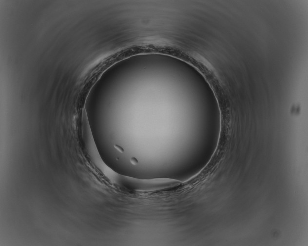 X0000091171112200708231459