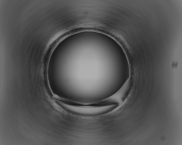 X0000091171114200708231459