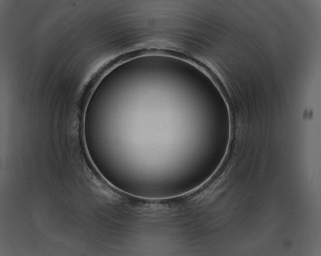 X0000091171115200708231459