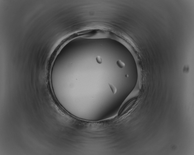 X0000091171116200708231459