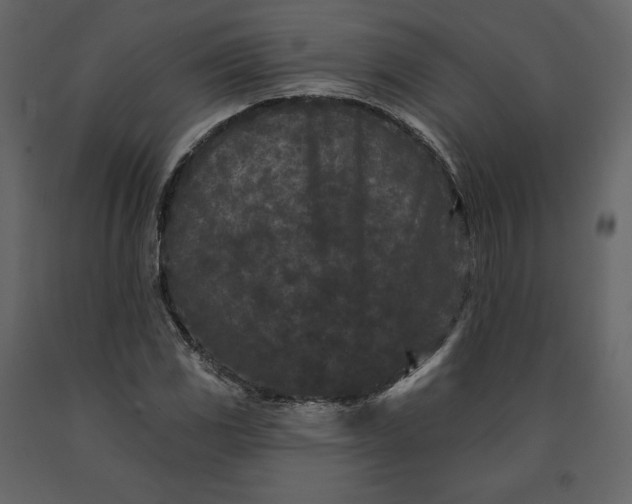 X0000091171117200708231459