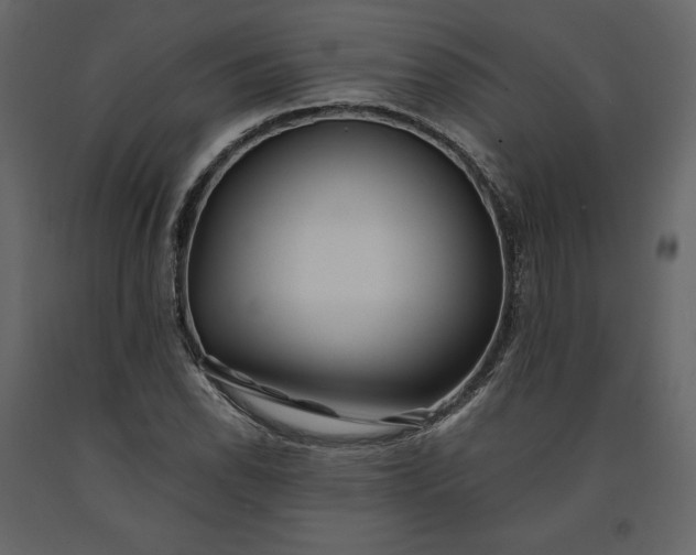 X0000091171118200708231459