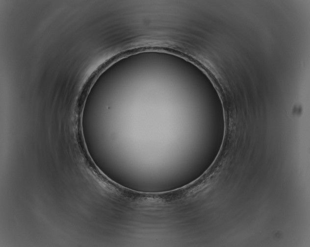 X0000091171119200708231459