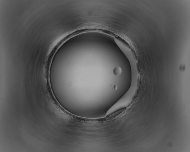 X0000091171120200708231459