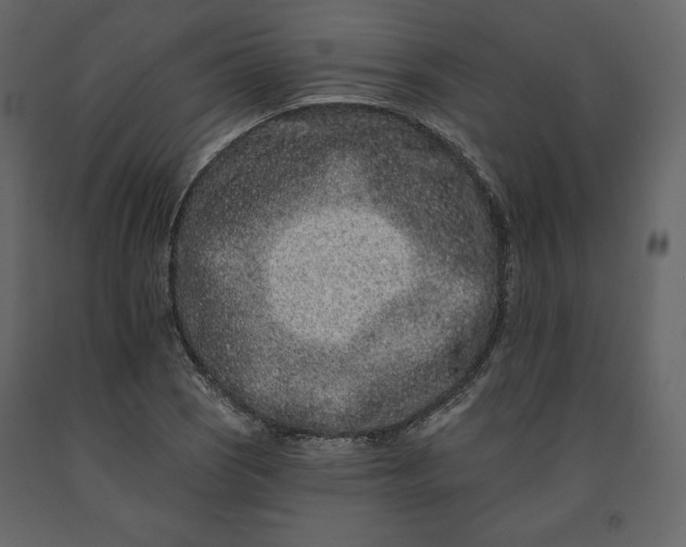 X0000091171121200708231459