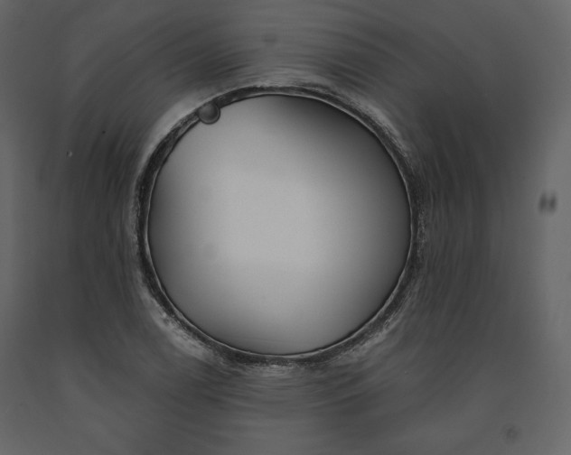 X0000091171122200708231459