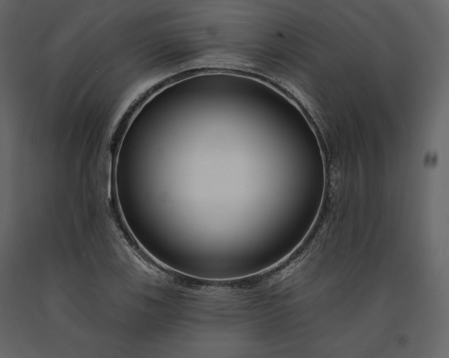 X0000091171123200708231459