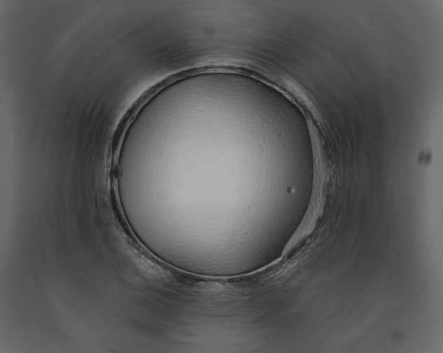 X0000091171124200708231459