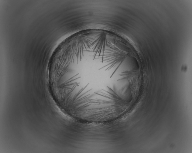 X0000091171125200708231459