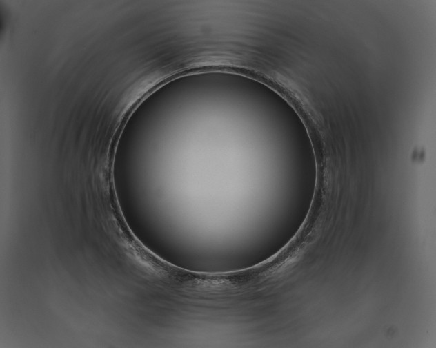 X0000091171129200708231459