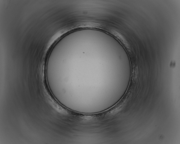 X0000091171130200708231459