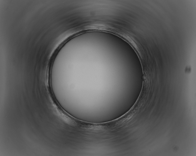 X0000091171131200708231459