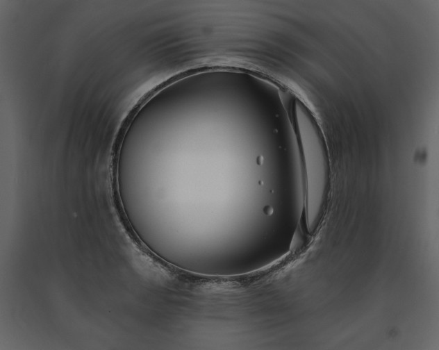 X0000091171133200708231459