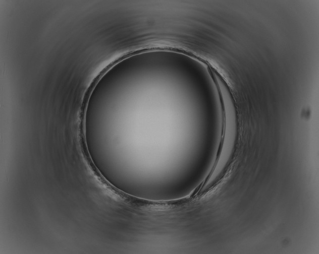 X0000091171134200708231459