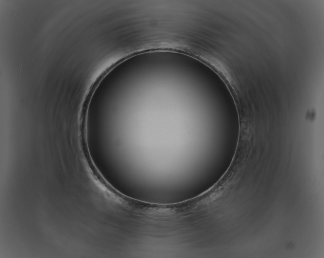 X0000091171135200708231459