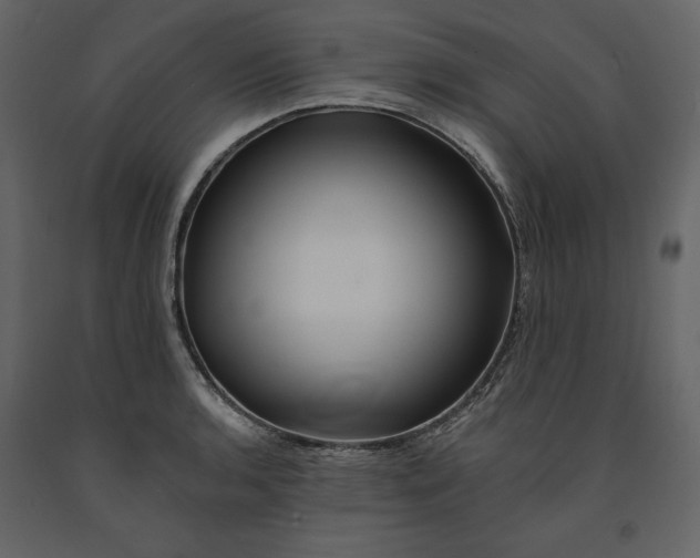 X0000091171136200708231459