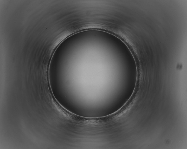 X0000091171137200708231459