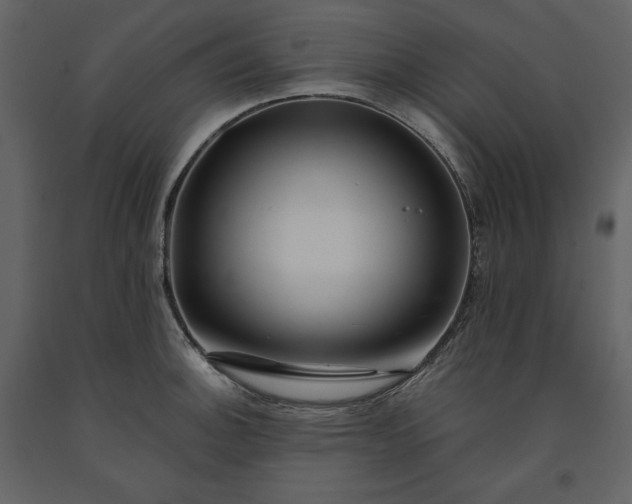 X0000091171140200708231459