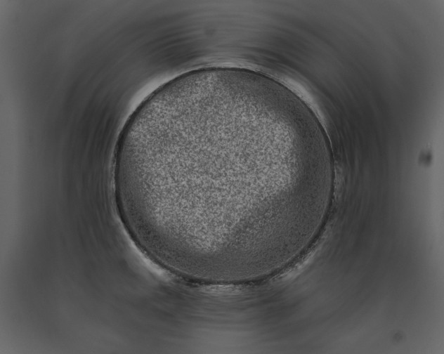 X0000091171141200708231459