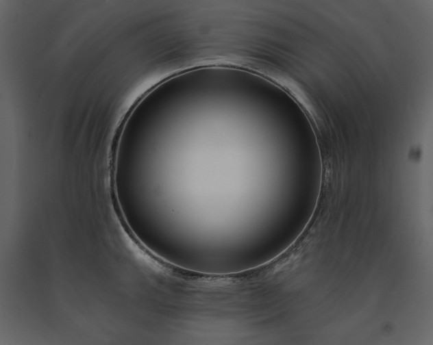 X0000091171143200708231459