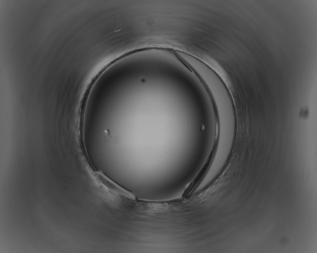 X0000091171144200708231459