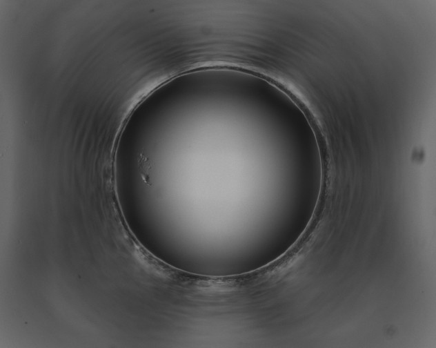 X0000091171145200708231459