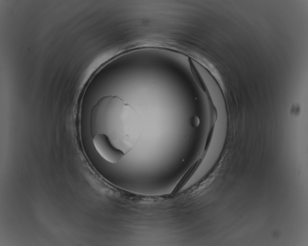 X0000091171146200708231459