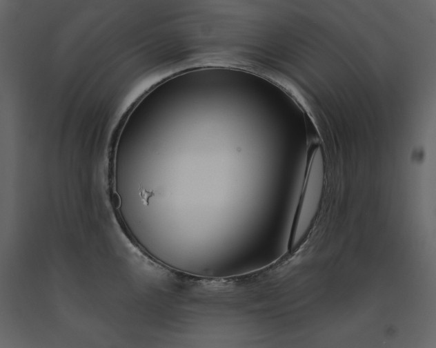 X0000091171147200708231459