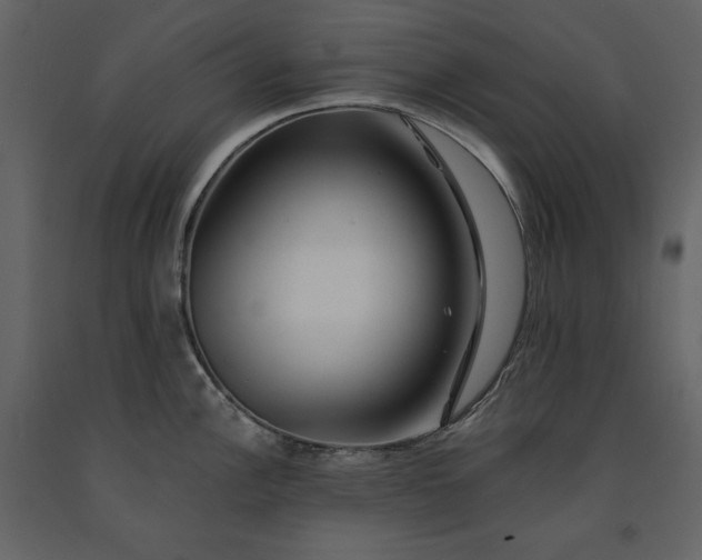 X0000091171148200708231459