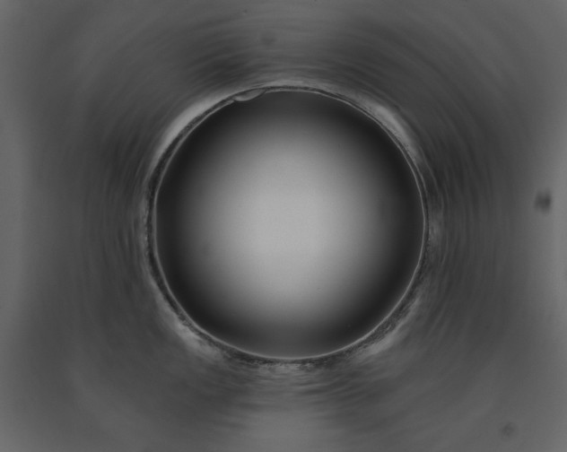 X0000091171149200708231459