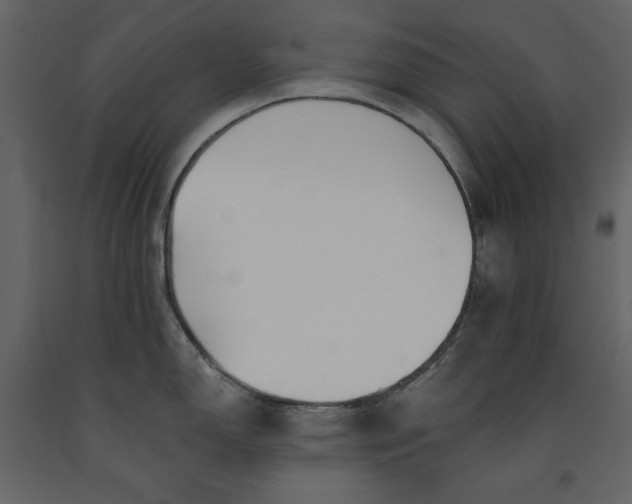 X0000091171150200708231459