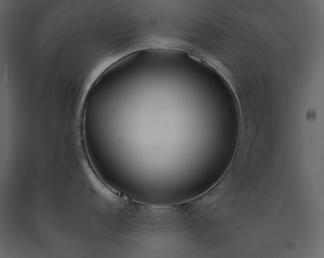 X0000091171152200708231459