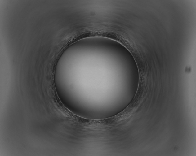 X0000091171153200708231459