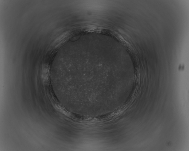 X0000091171154200708231459