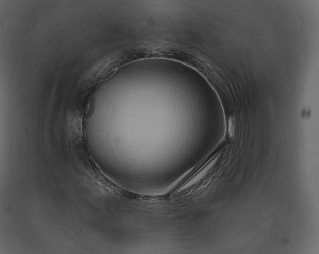 X0000091171155200708231459