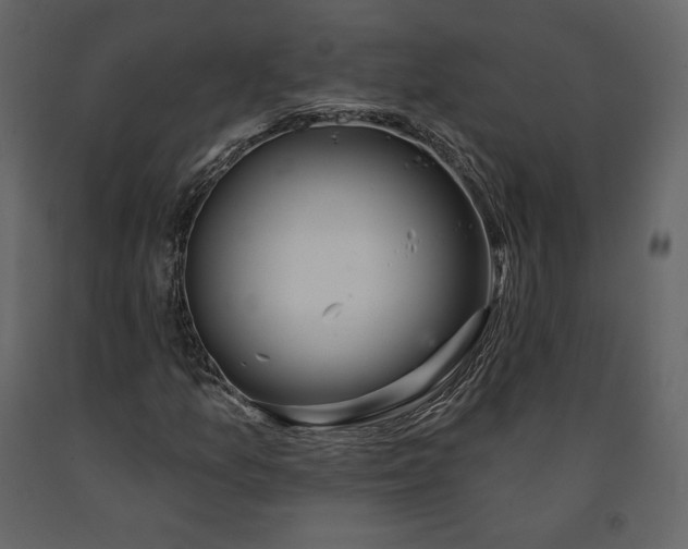 X0000091171157200708231459