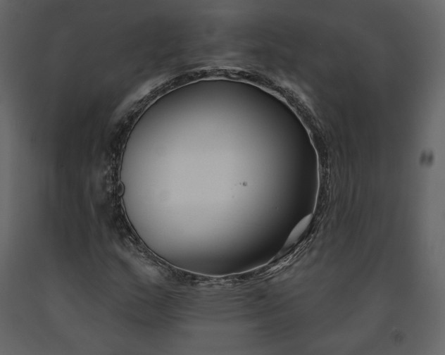 X0000091171159200708231459