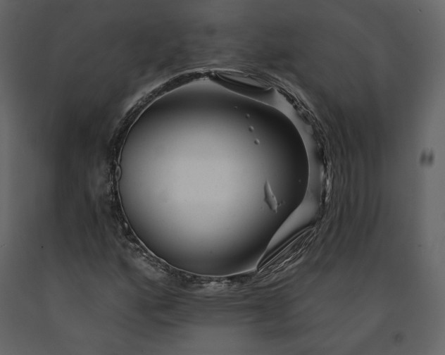 X0000091171160200708231458