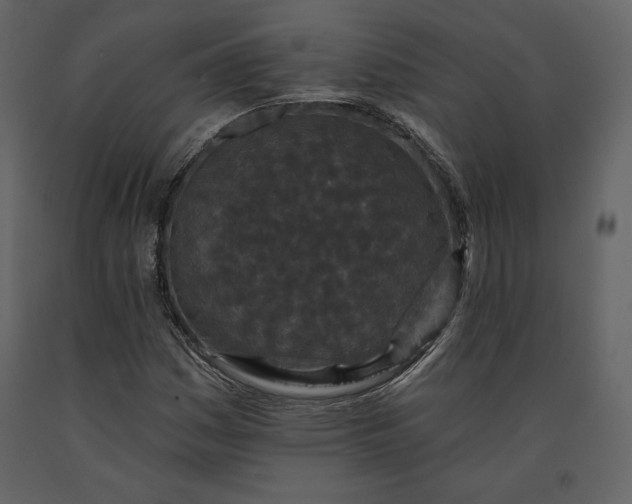 X0000091171161200708231458