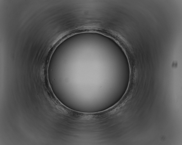 X0000091171162200708231458