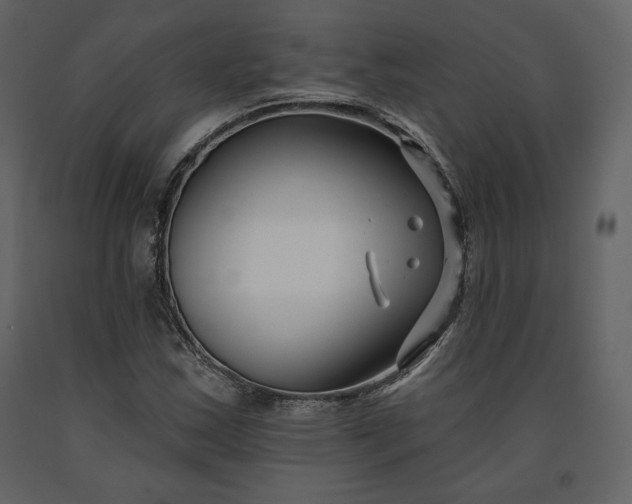 X0000091171163200708231458