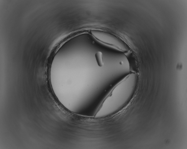 X0000091171164200708231458