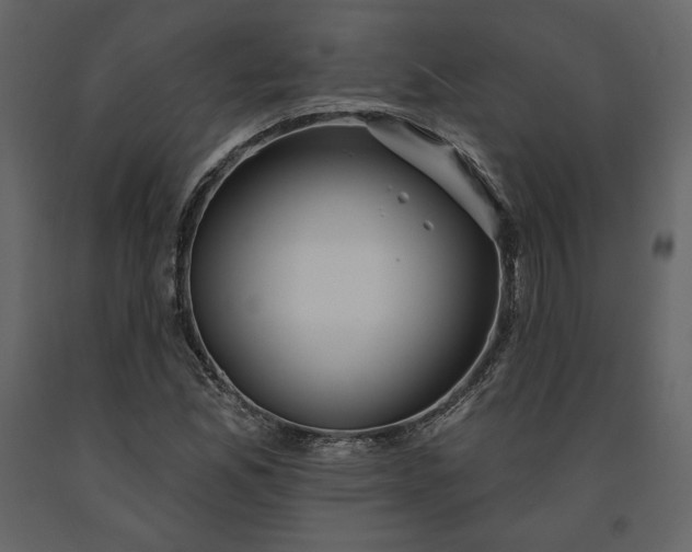 X0000091171165200708231458